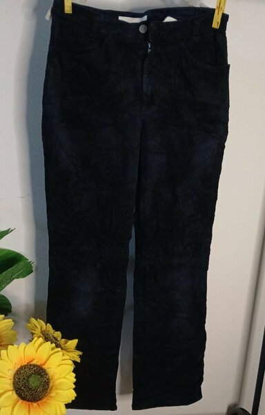 Pantalon en velours côtelé bleu