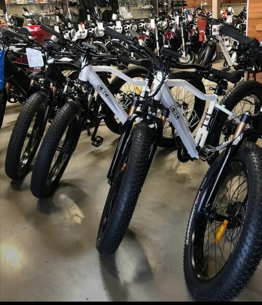 VTT électriques tout-terrain