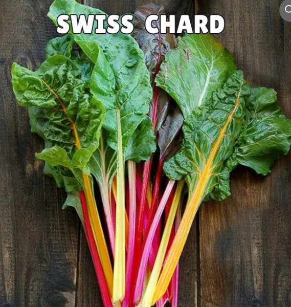Swiss Chard Seeds (imported)