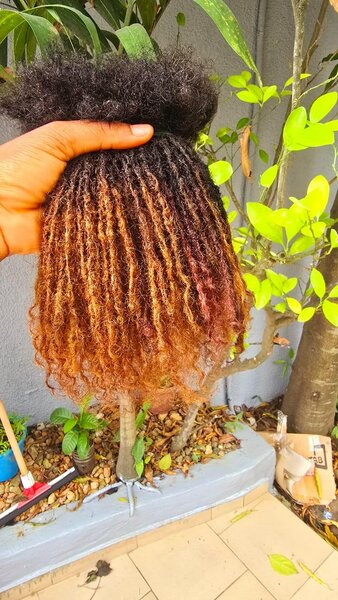 Dreadlocks ( sisterlocks)