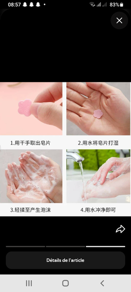 Feuilles de savon portable