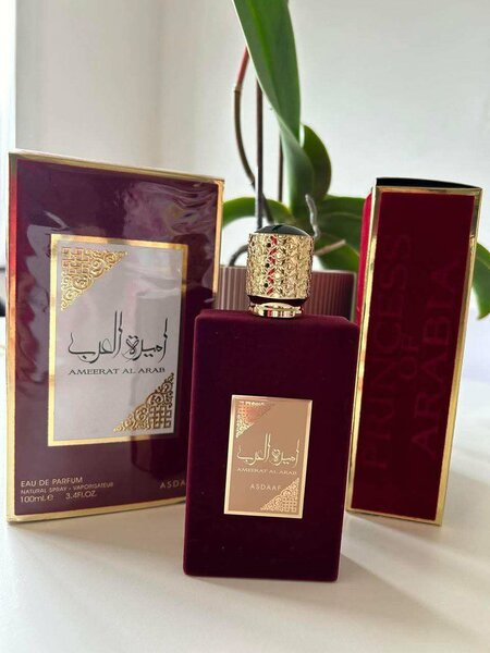 Ameerart al arab