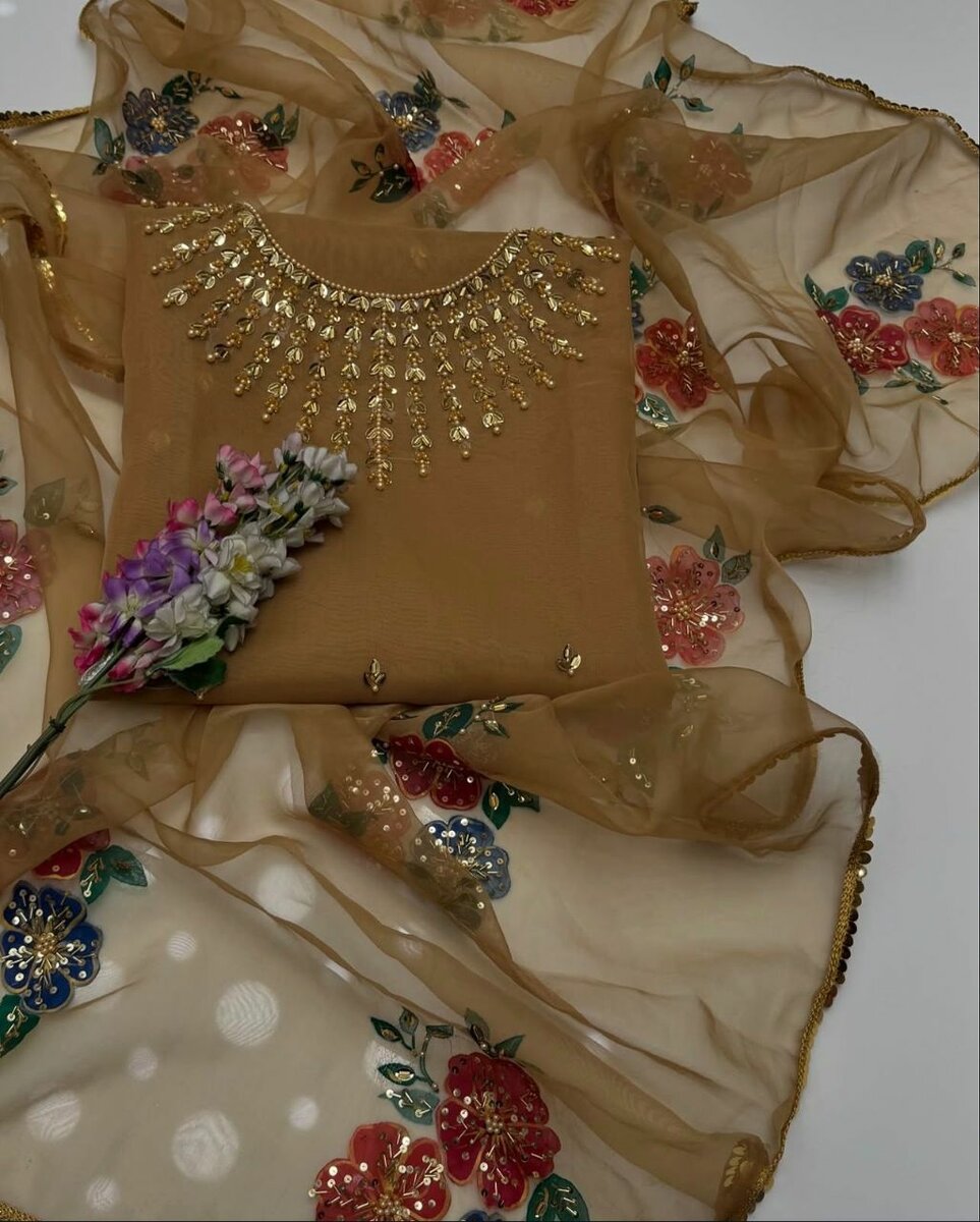 Eid collection organza 2 pc Dc free