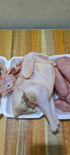 Pondeuse locale fraîche