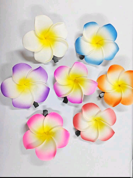 Épingles à cheveux fleurs colorées