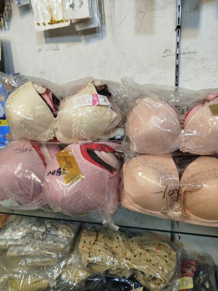 All Types Paded Cotton Jersey Bras available