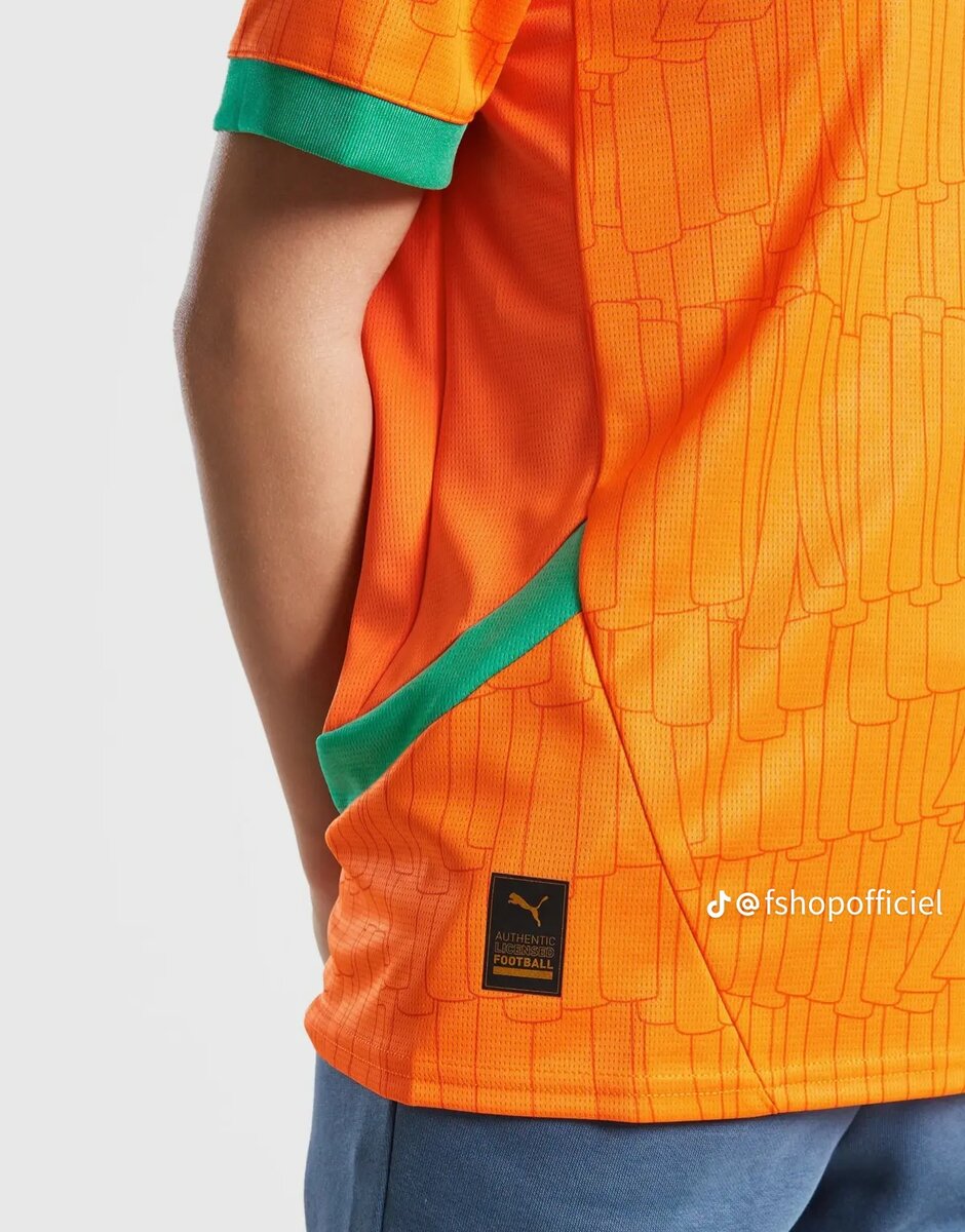 Maillot Côte d'Ivoire Puma