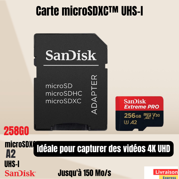 Carte SanDisk Extreme Pro 256 Go