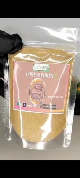 Costus Indien Bio Poudre