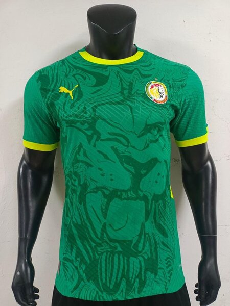 Maillot Sénégal Puma