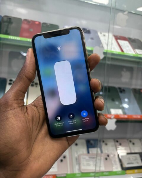iPhone 11 Pro 256GB débloqué