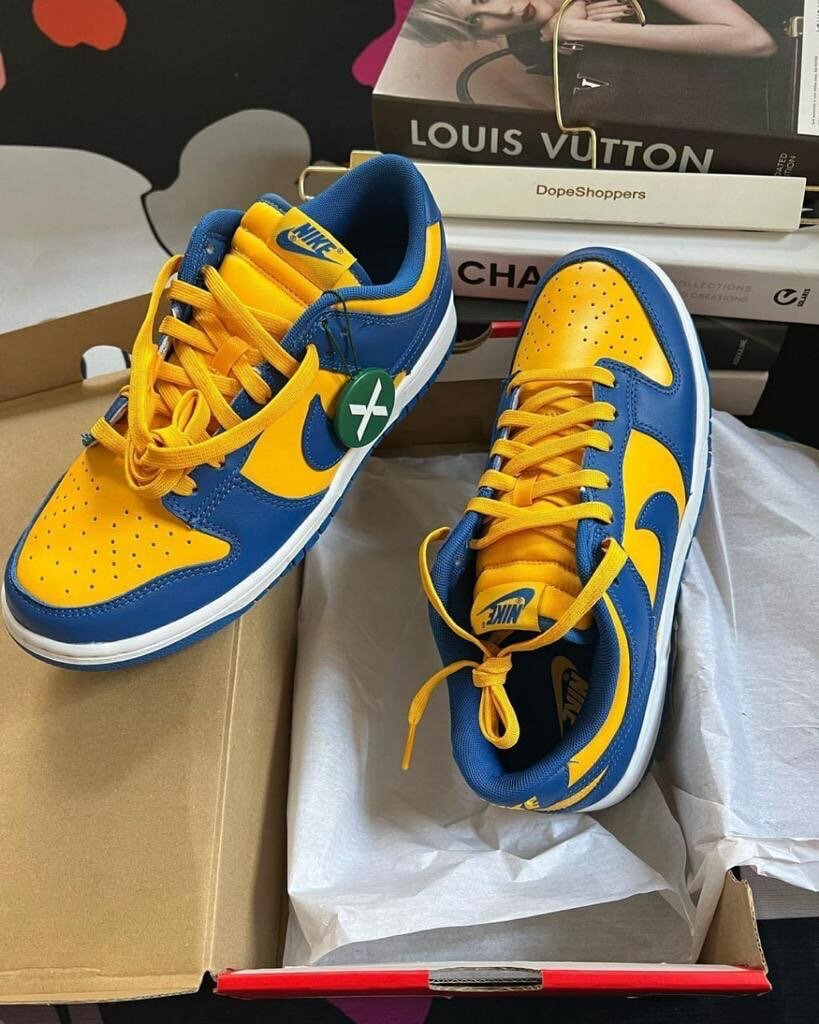 Nike Dunk Low Michigan