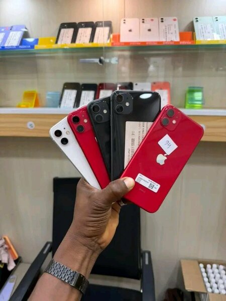 iPhone 11 - Multicouleur