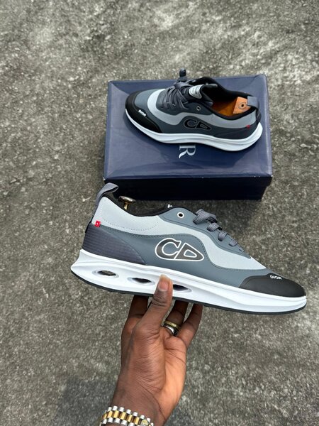 Sneakers en cuir gris Dior