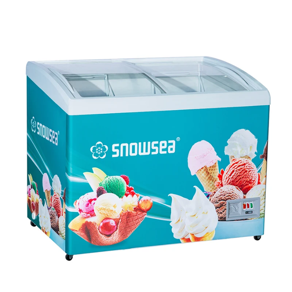 Vitrine Congélateur SNOWSEA