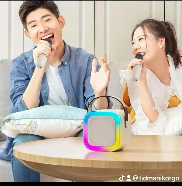 Enceinte Karaoke LED Portable