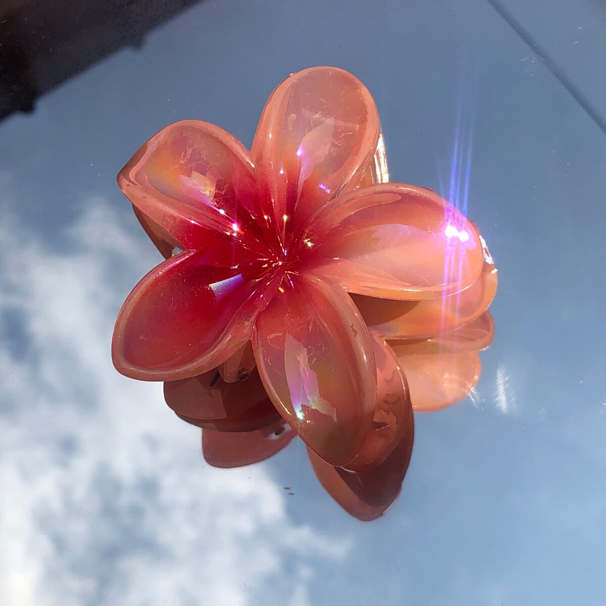 Barrette + ÉLASTIQUES OFFERT