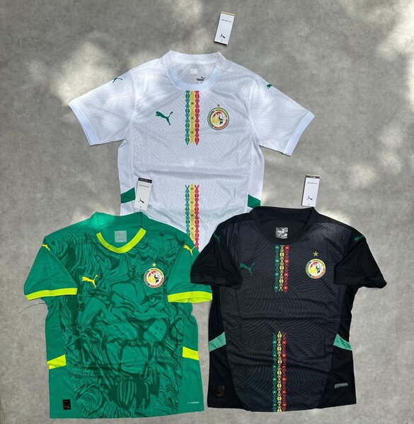 Maillots Puma équipe nationale