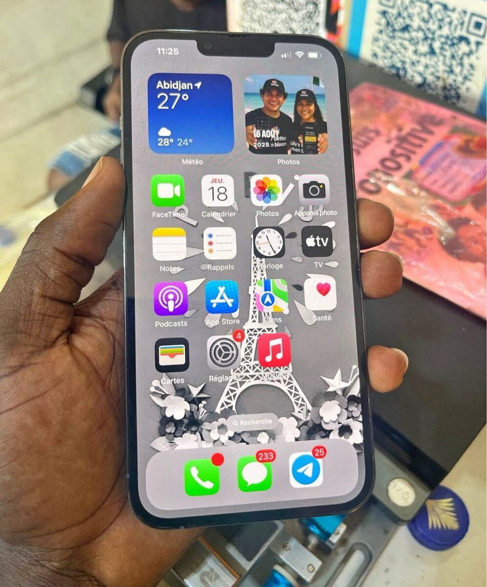 iPhone 13 Pro Max Argent