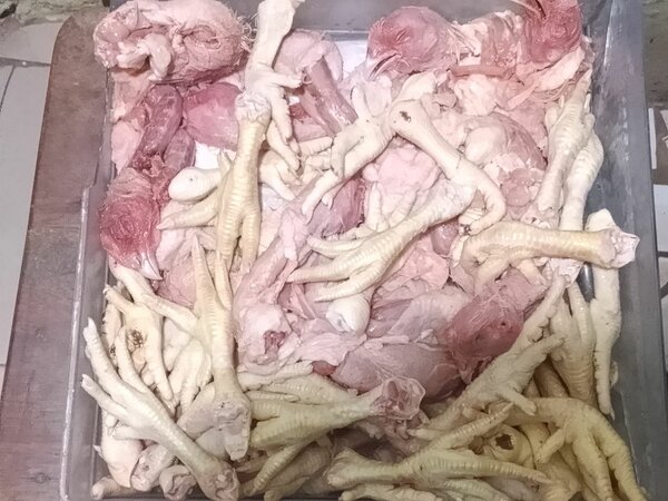 Pattes cous têtes de Poulet fr