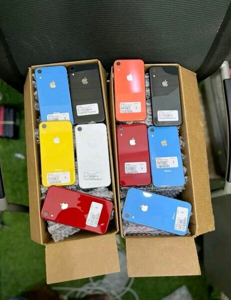 iPhone XR Couleurs Vives
