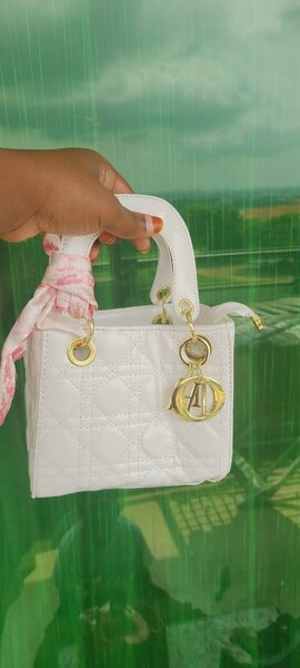 Sac à main élégant brillant