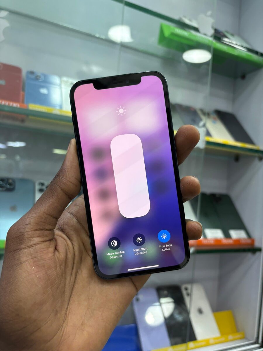 12 Pro 256go deux puces