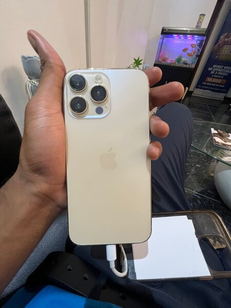 iPhone 14 Pro Max 256 Go