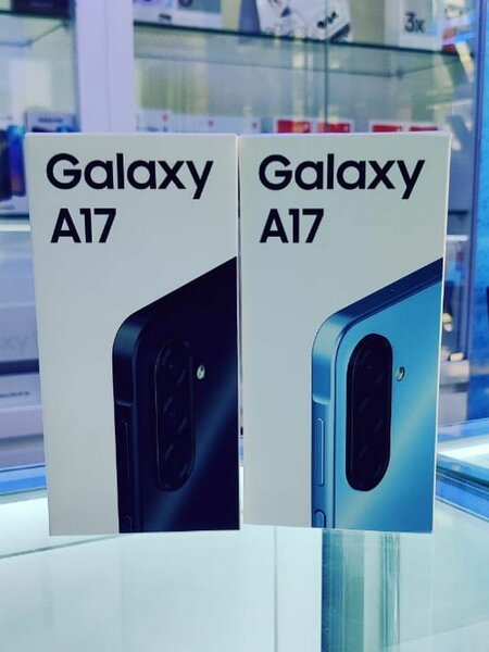 Samsung Galaxy A17 256Go