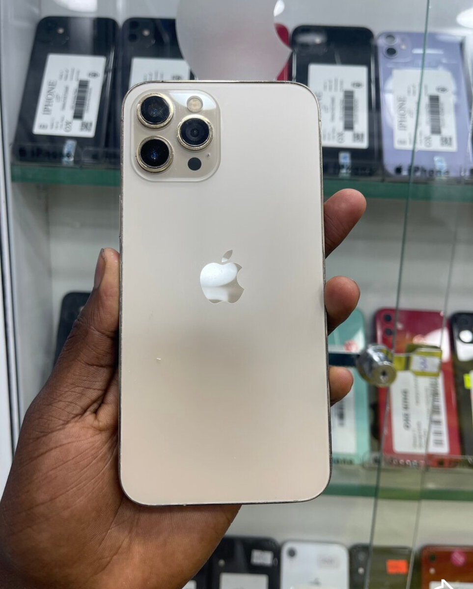 iPhone 12 Pro Max 256 Go