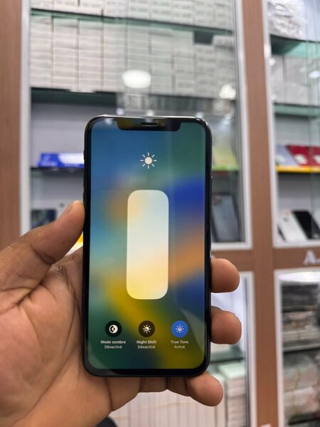 iPhone X 256g