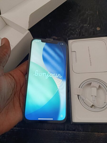 Iphone 12 Pro Max 256Go