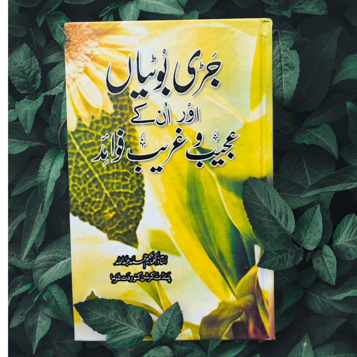 Jarri Botian aur un k Ajeeb o ghareeb Fawaid