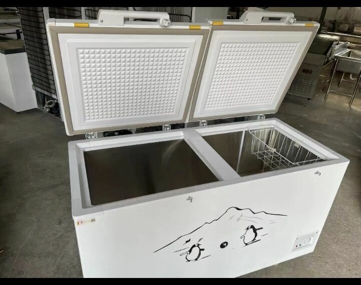 Double door freezer