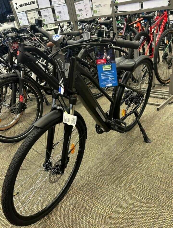 Vélo électrique Fire Bird noir