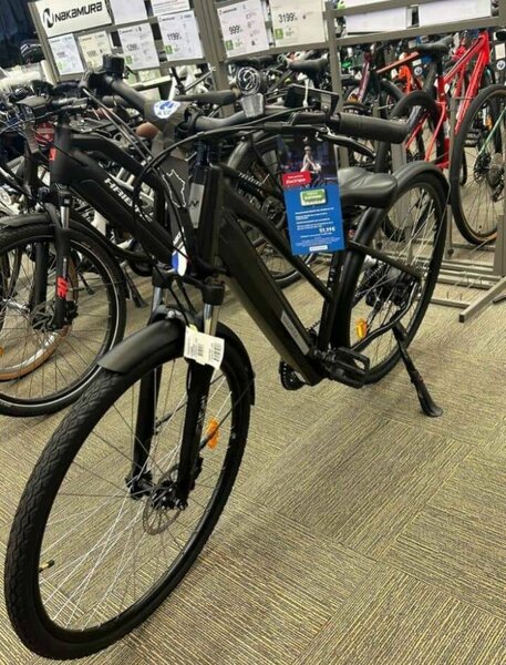 Vélo électrique Fire Bird noir