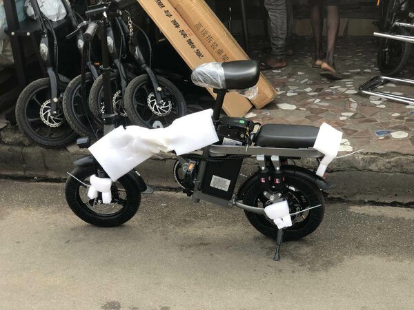 Foldable Electric Bike