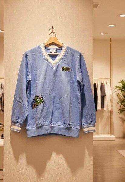 Pull col V unisexe élégant