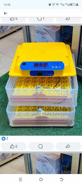 Incubateur automatique 112œufs