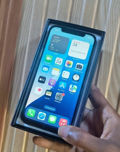 iPhone 12 Pro Bleu