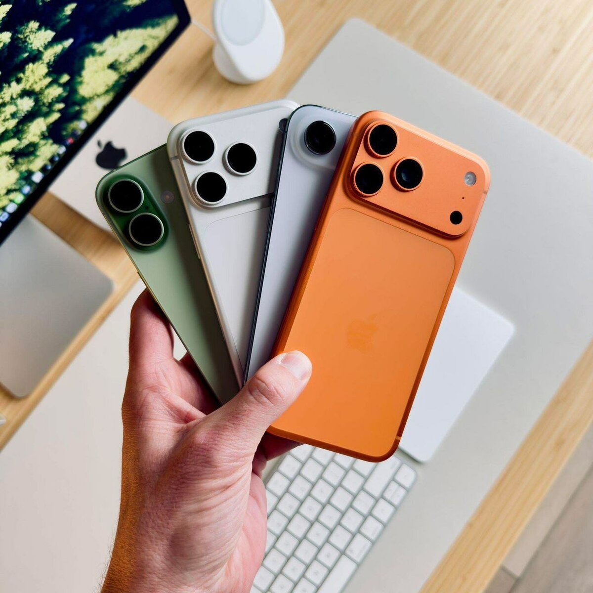 iPhone - Variété de Couleurs