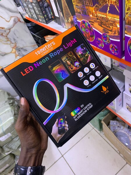 Guirlande Néon LED 10m