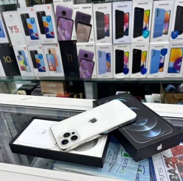 iPhone 12 Pro Max 256 Go