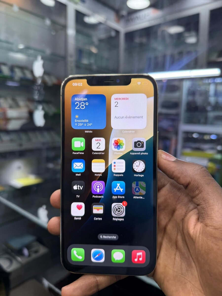 iPhone 12pro Max 256Go tout