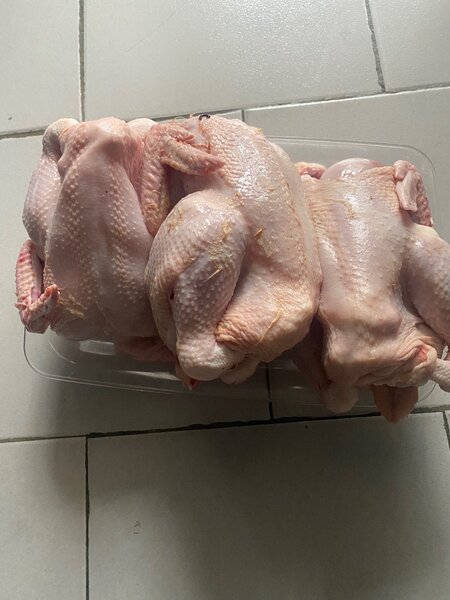 03 Poulet frais entier