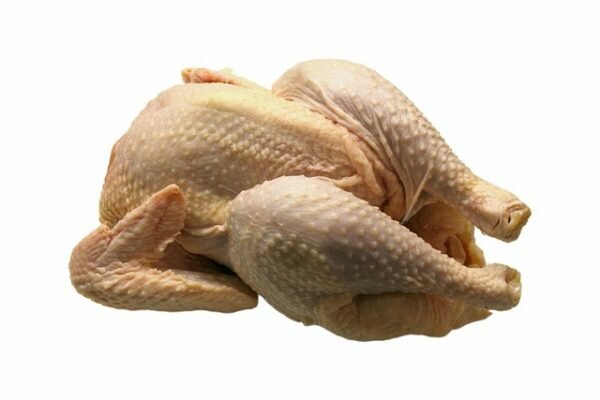 Poulet pondeuse