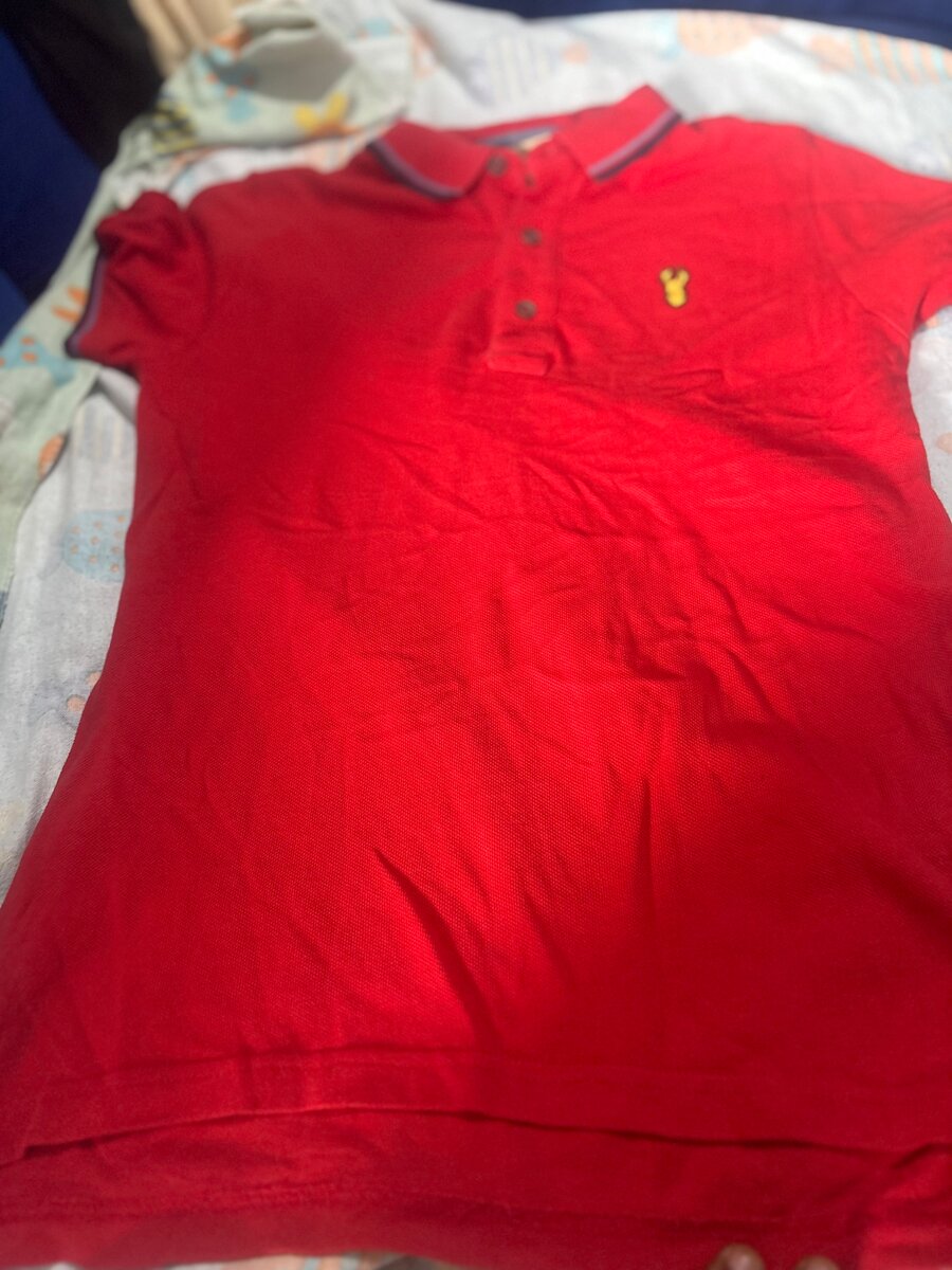 Lot de T-shirts colorés en coton