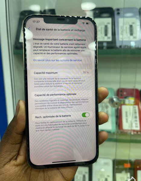 iPhone 12 Pro Max 256 Go