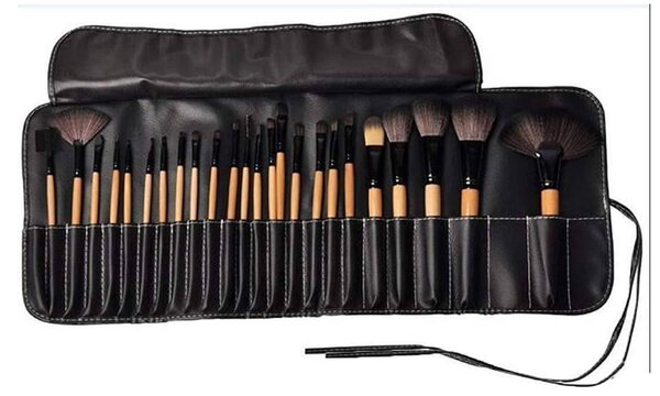 24 pieces of Makeup brushes in one and comes with its bag
