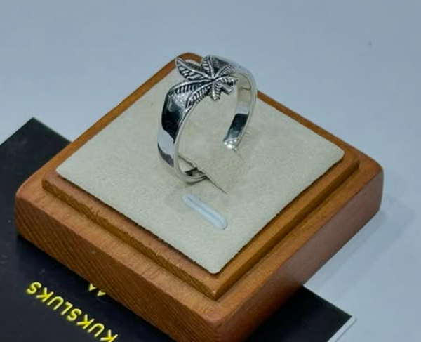 FLAWLESS STAINLESS RING